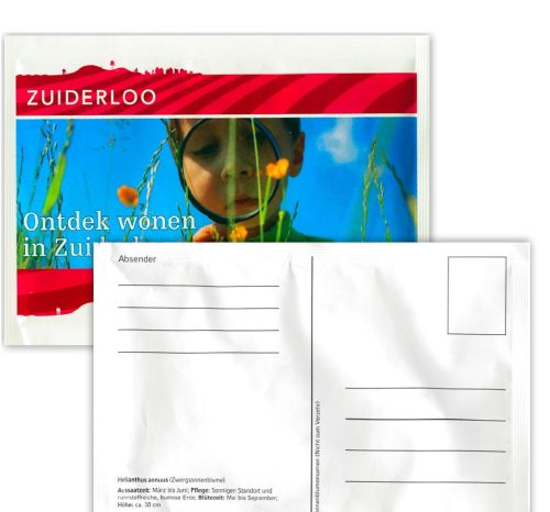 Sachets de graines 101 x 150 mm - image 3